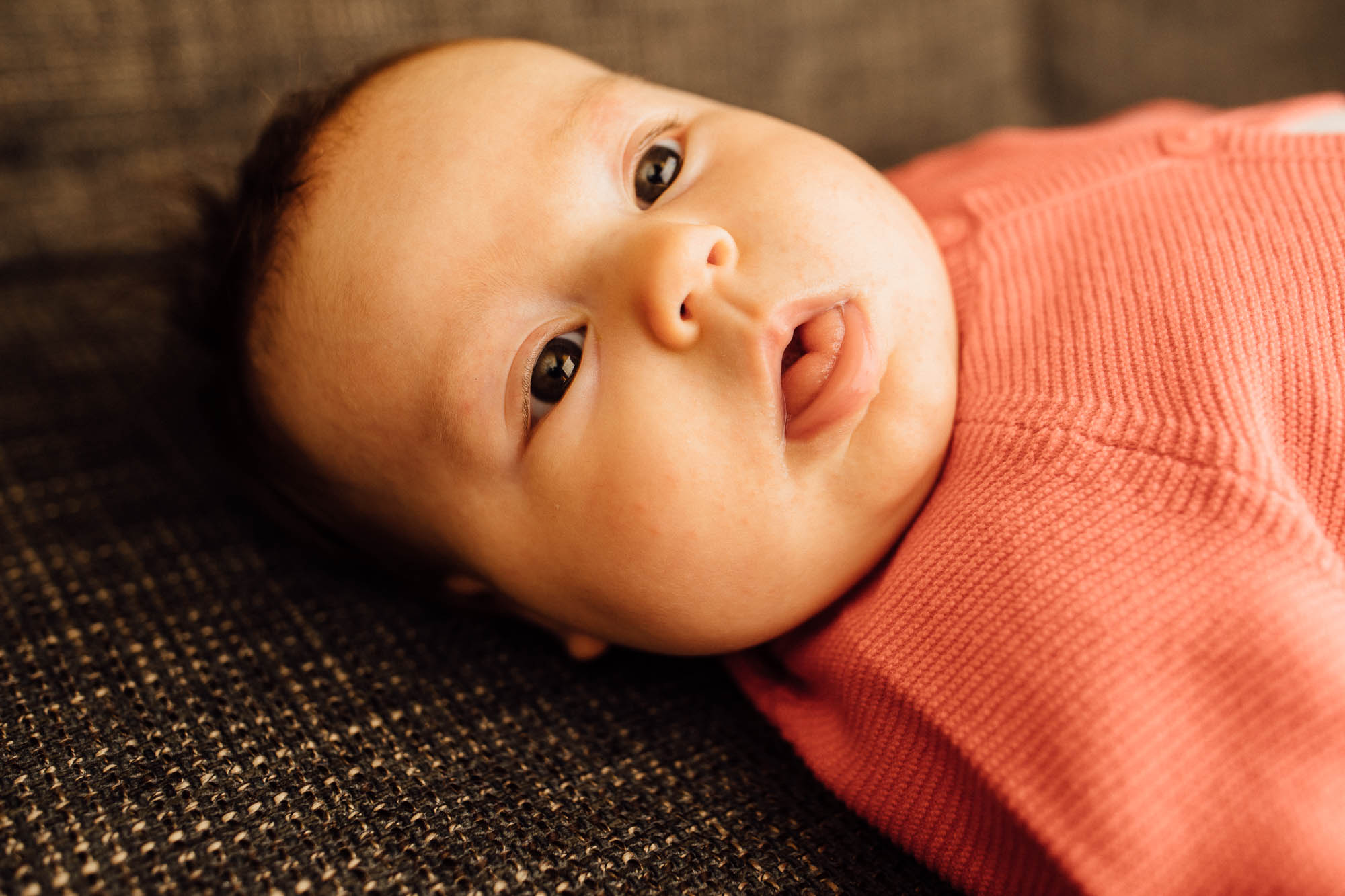 Export x3 5D4 0450 Familyfotoshooting 2020 Rossbach